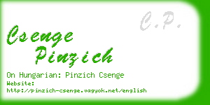 csenge pinzich business card